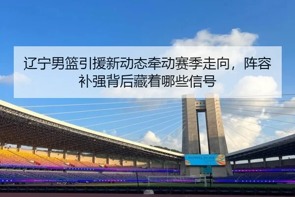 辽宁男篮引援新动态牵动赛季走向，阵容补强背后藏着哪些信号